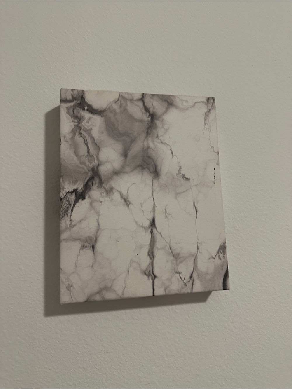 Marble Print Canvas Wall Art in White and Gray
